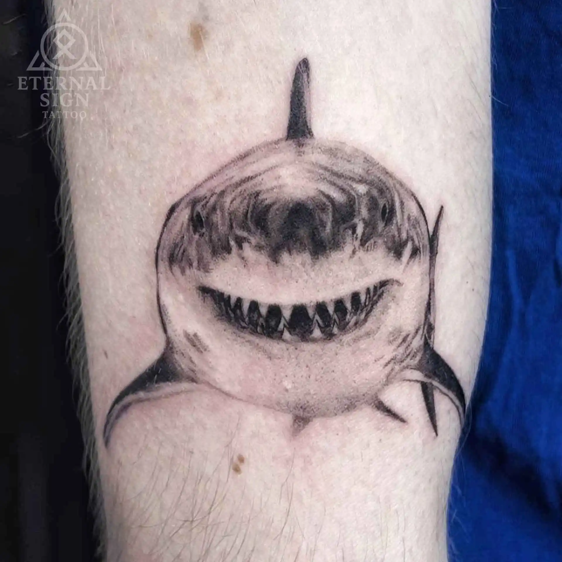 Realistisk black & grey tatovering av en hvithai med åpen munn og skarpe tenner, sett forfra på armen i Fredrikstad.