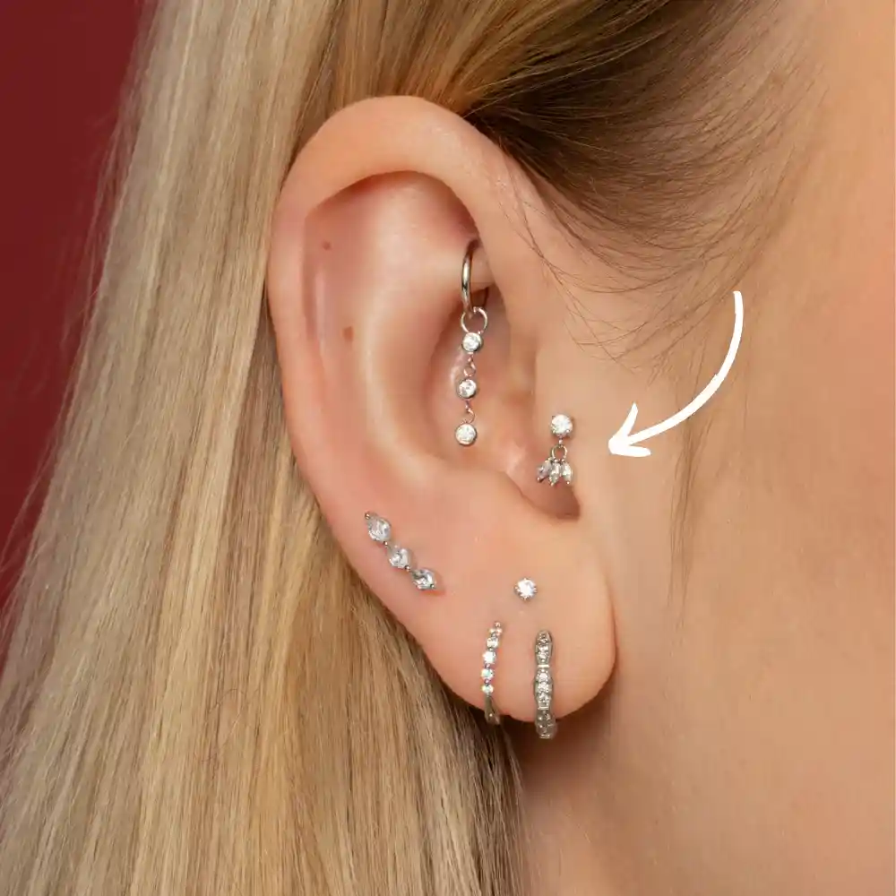 Tragus piercing i brusk-fliken foran øregangen, utført hos Eternal Sign i Fredrikstad